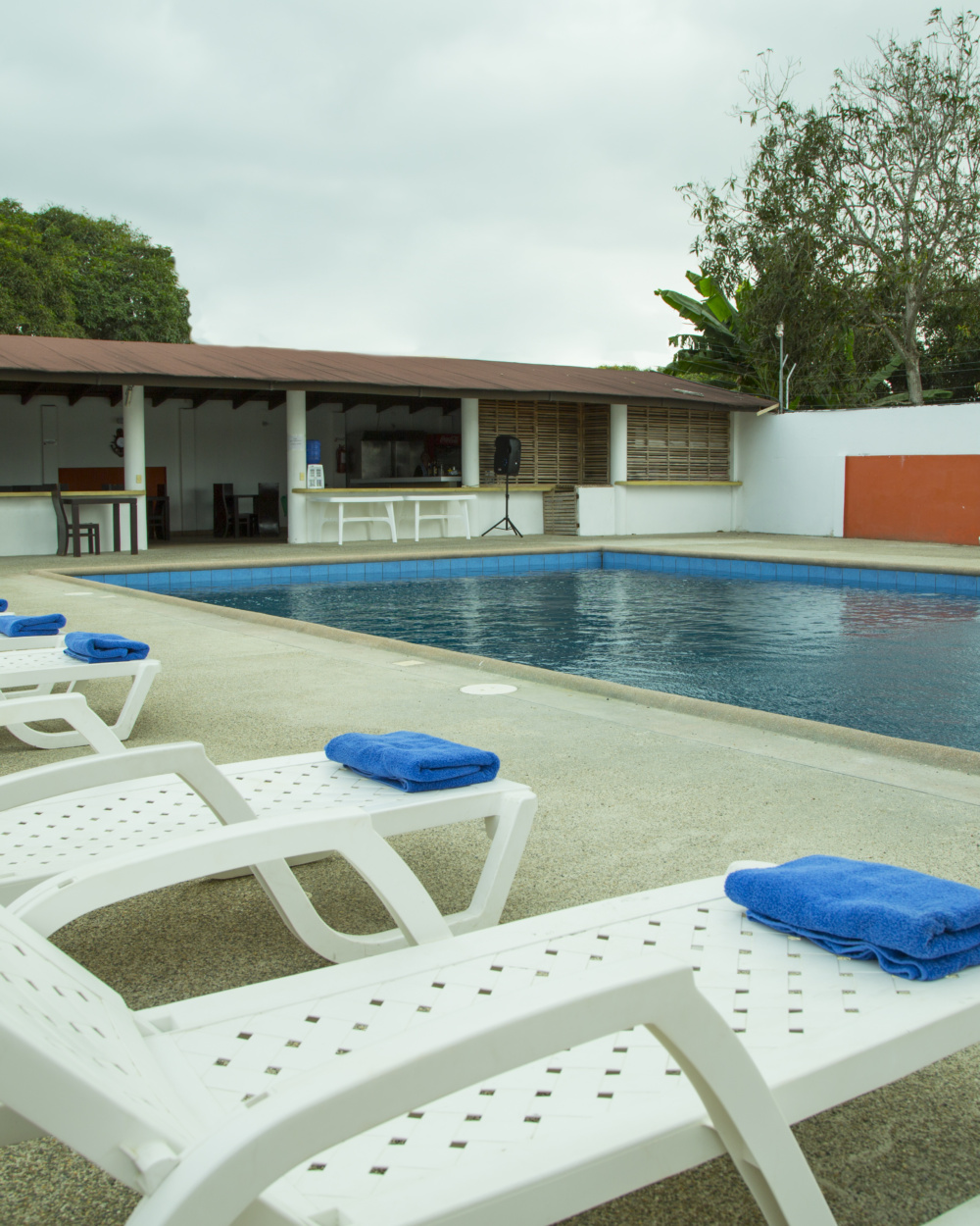 promocion